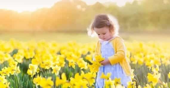 Overzicht van de verschillen tussen wasparfum, waskorrels en wasverzachter